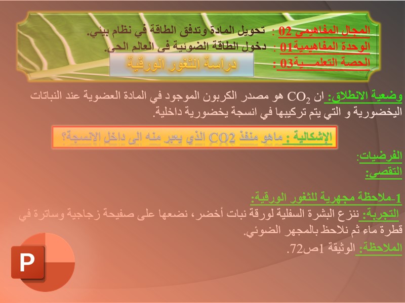 دراسة الثغور الورقية